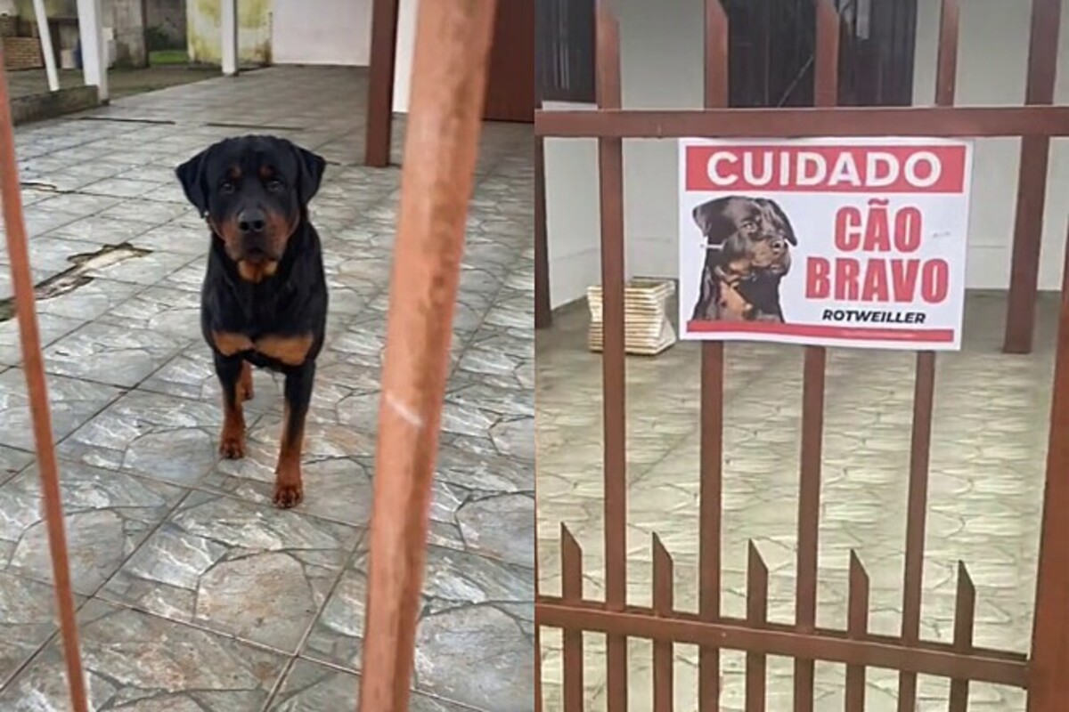 Placa na porta de residência chama atenção, mas não é o que parece