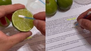 É possível apagar o marca texto utilizando o limão