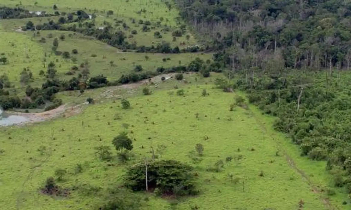 governo de goiás