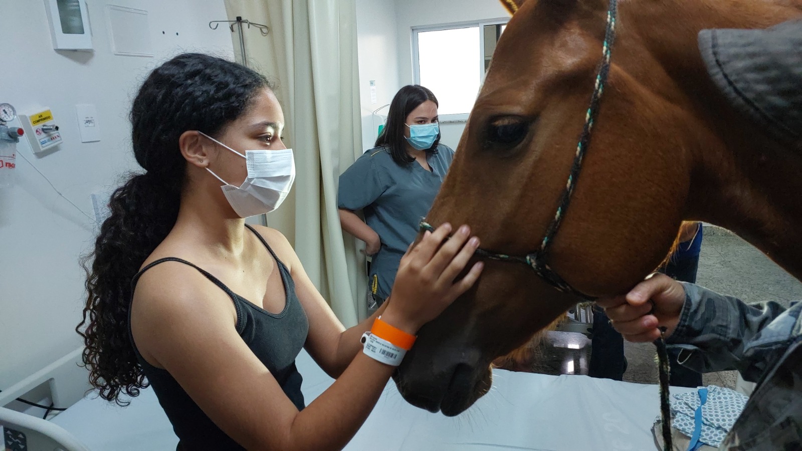 Hospital de Aparecida de Goiânia autoriza entrada de cavalo para pacientes