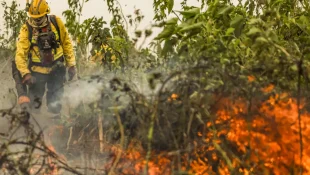 Brasil já registrou mais de 154 mil focos de calor este ano