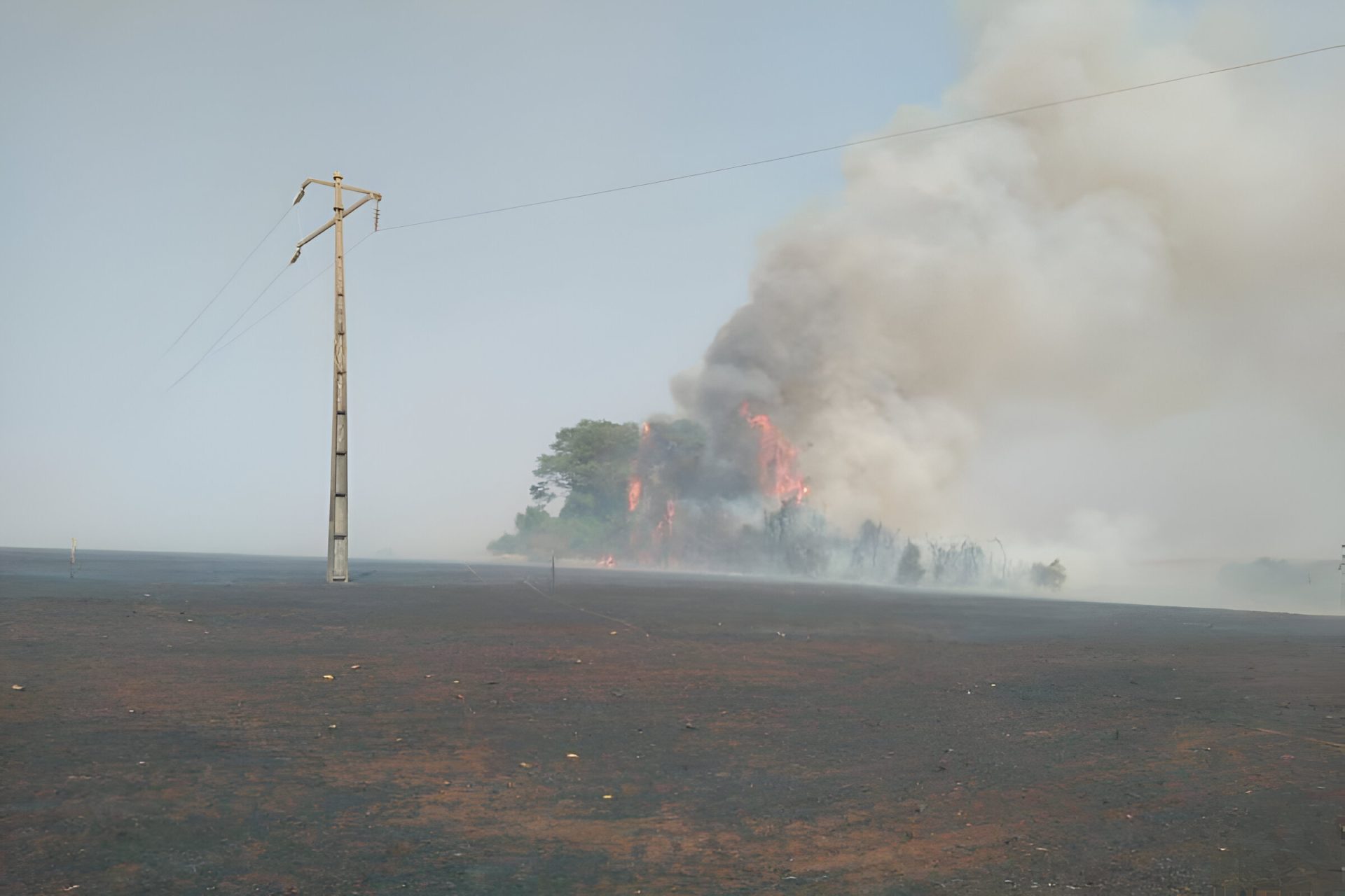 Foco de incêndio próximo da rede elétrica. (Foto: Divulgação/Equatorial)