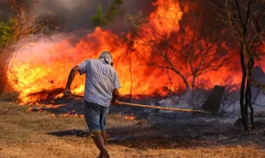 Aumento das queimadas preocupa durante El Niño.