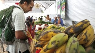 6 alimentos que limpam os vasos sanguíneos e fazem bem para à saúde