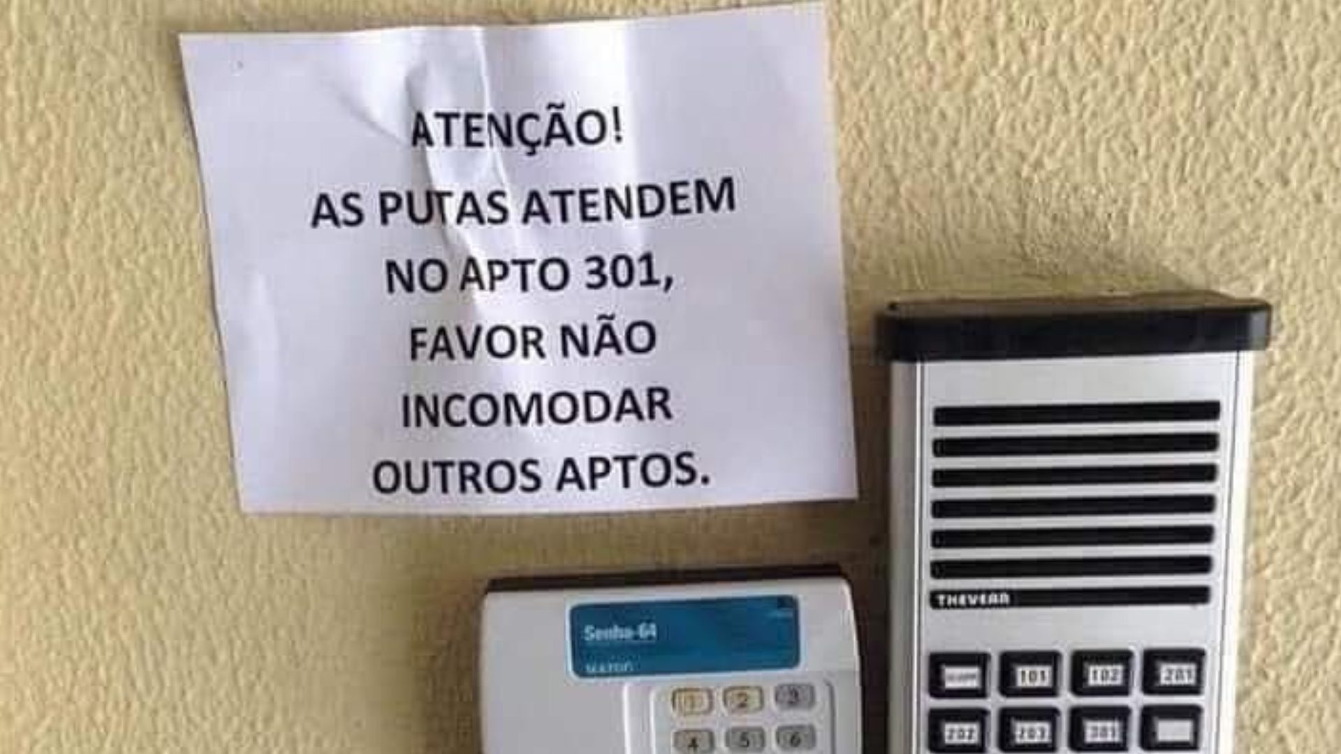 (Foto: Reprodução/X@templaca)