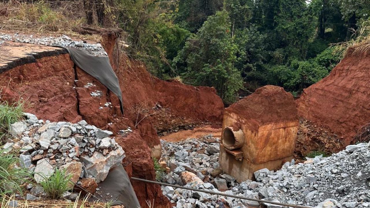 Erosão avança e se aproxima da BR-060. (Foto: Reprodução)