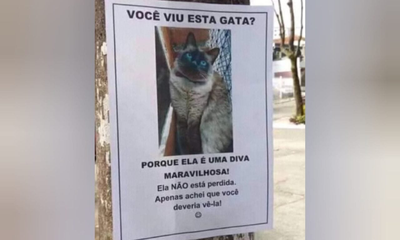 Dono de pet coloca placa em postes e chama atenção pela criatividade