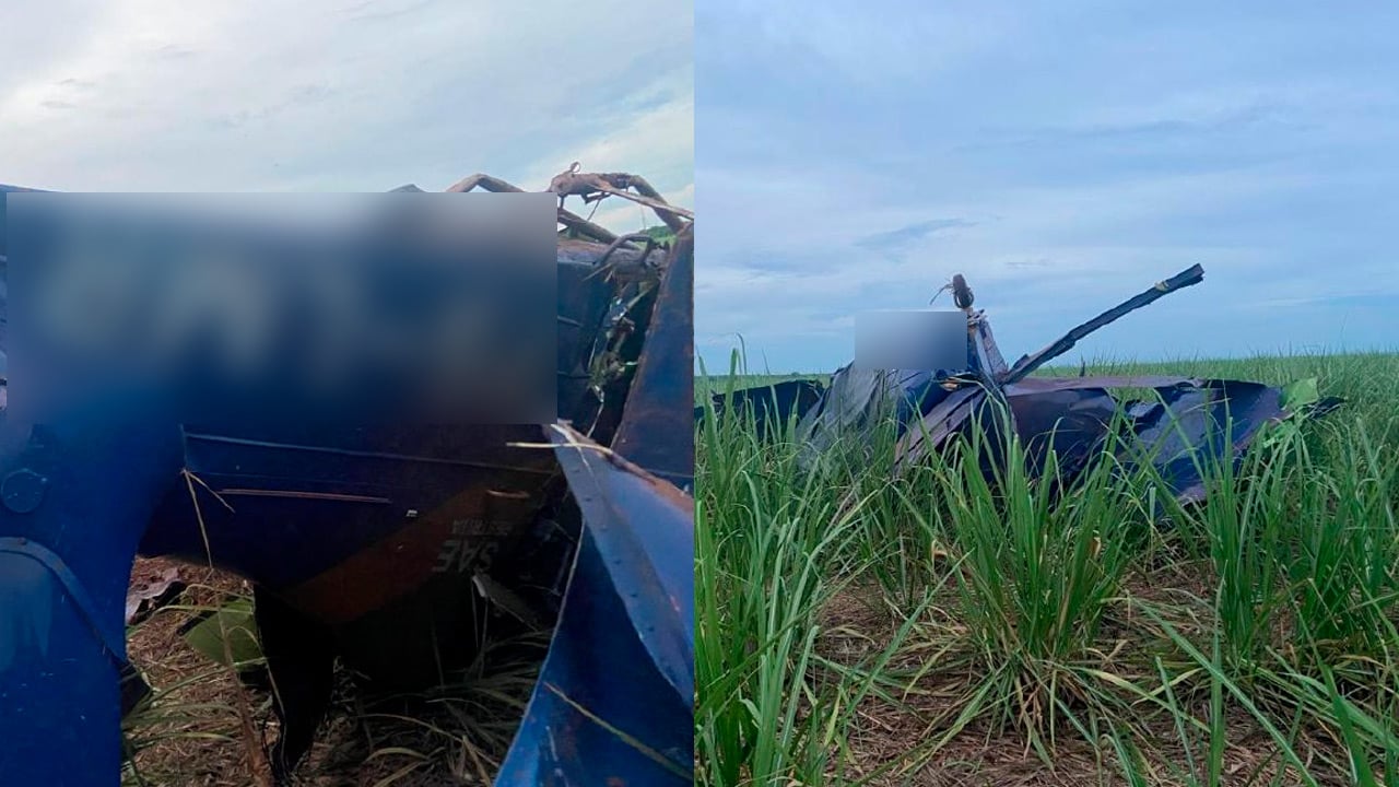 Imagem mostra avião caído em plantação de cana-de-açúcar (Foto: Reprodução)