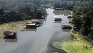 Rios na Amazônia tem risco muito alto de contaminação por mercúrio