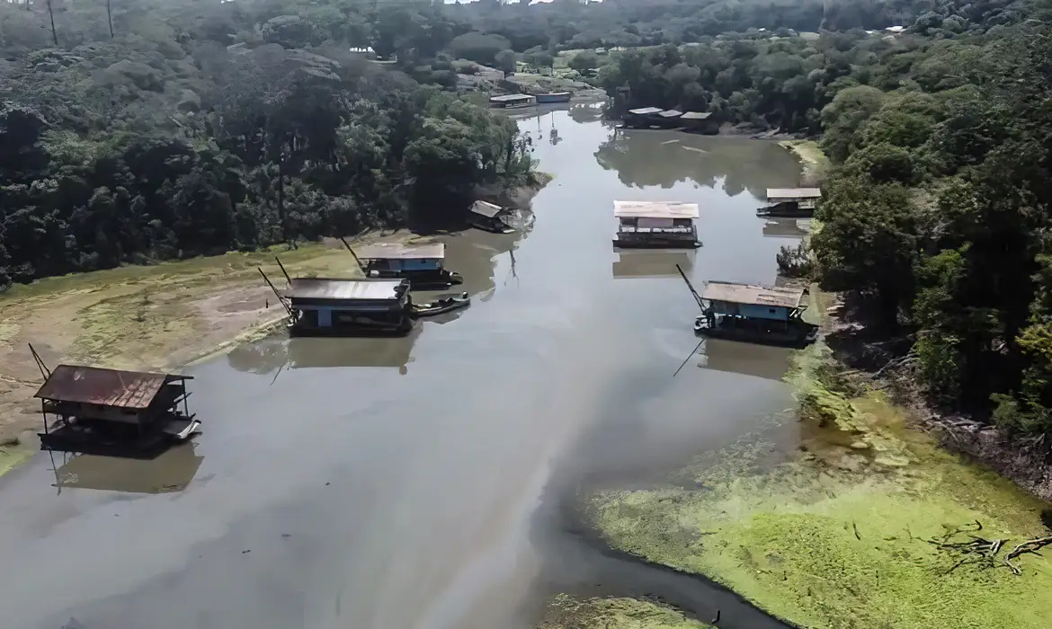 Rios na Amazônia tem risco muito alto de contaminação por mercúrio