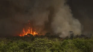 Brasil tem 22,38 milhões de hectares atingidos pelo fogo em nove meses