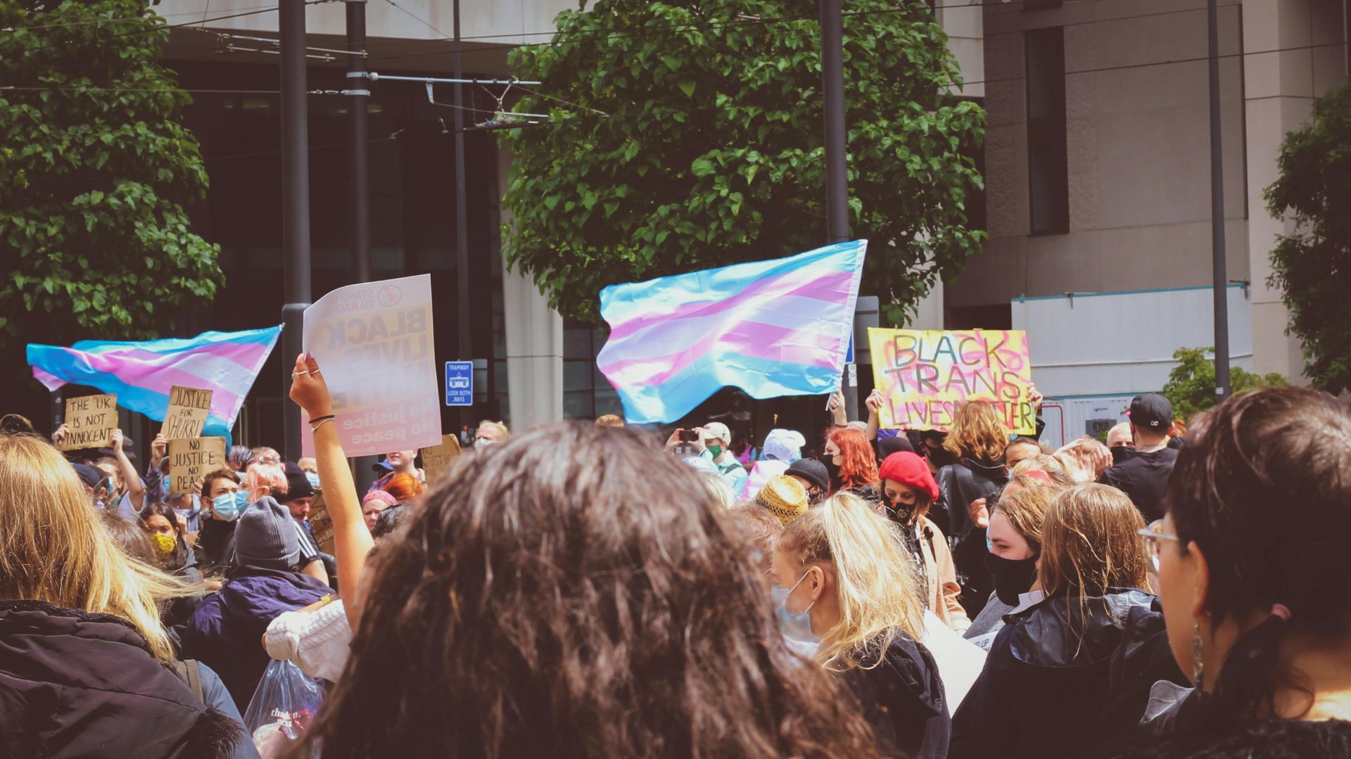 Pessoas em manifestação com bandeiras transgênero. (Foto: Pexels)