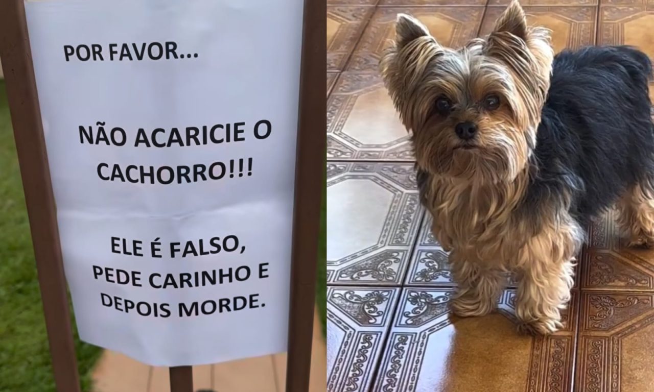 Placa chama (e muito) a atenção de quem passa na porta de residência