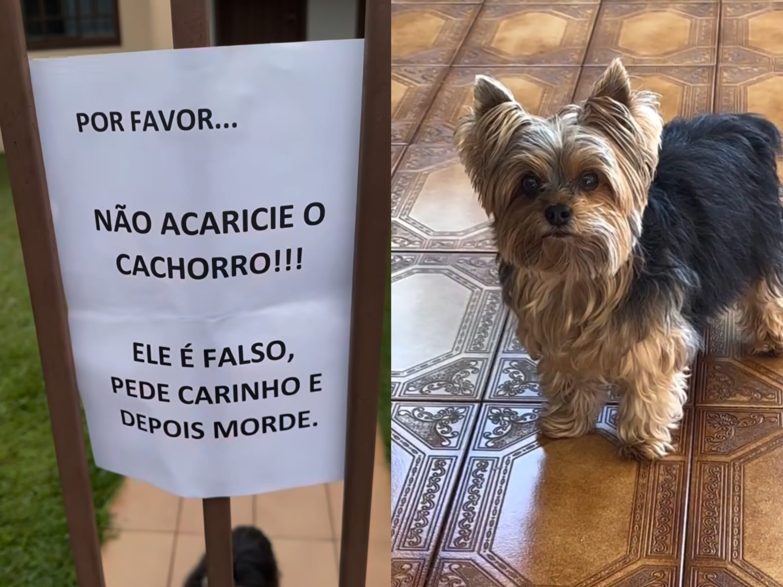 Placa chama (e muito) a atenção de quem passa na porta de residência