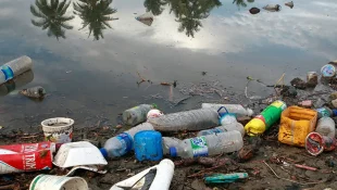 Brasil lança por ano 1,3 milhão de toneladas de plástico no oceano