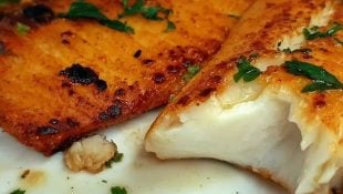 Conheça o peixe excelente para bife que é mais saboroso que o peito de frango