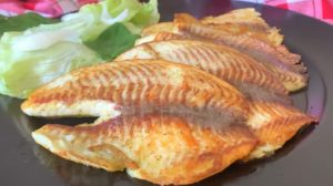 Conheça peixe perfeito para quem busca ter uma vida mais saudável