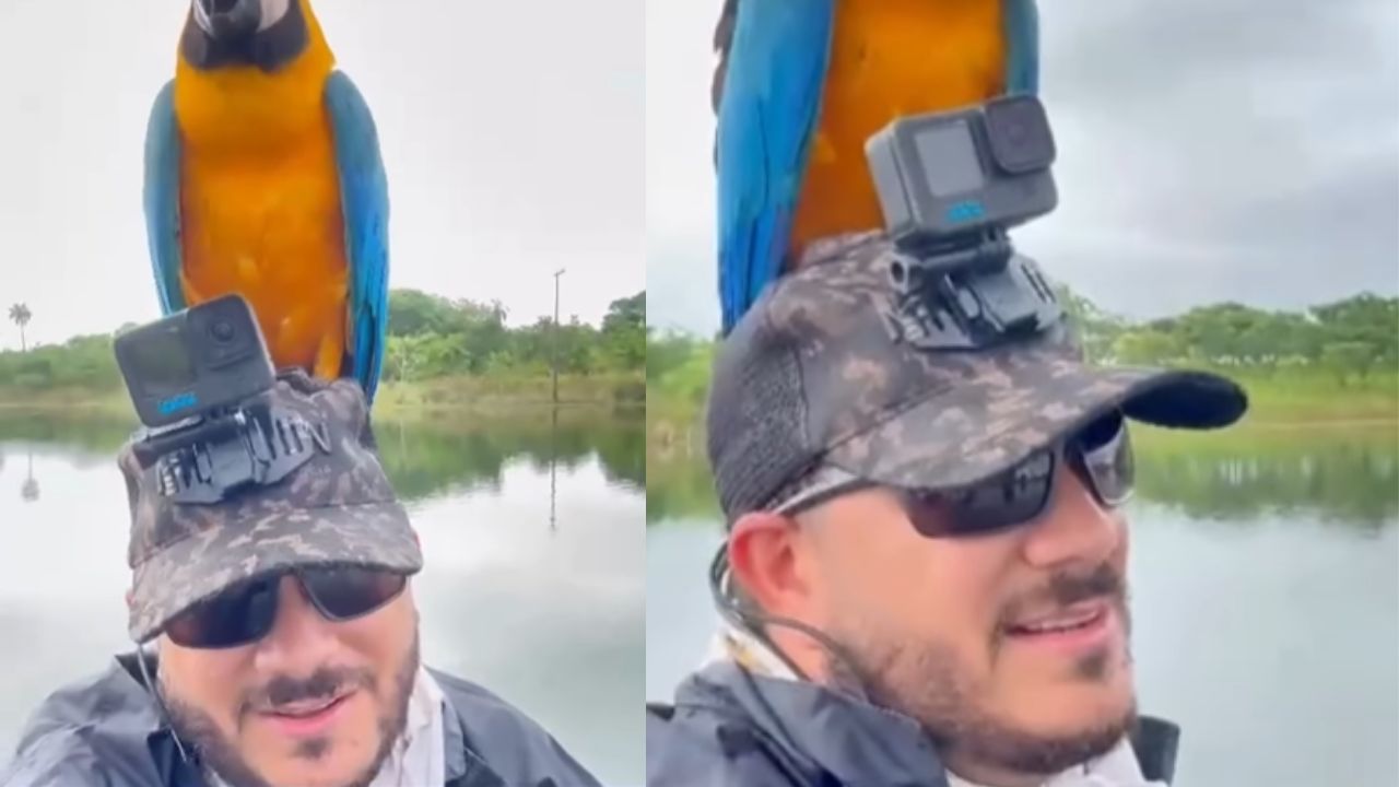 Durante pesca, cantor sertanejo é surpreendido após arara pousar na cabeça dele