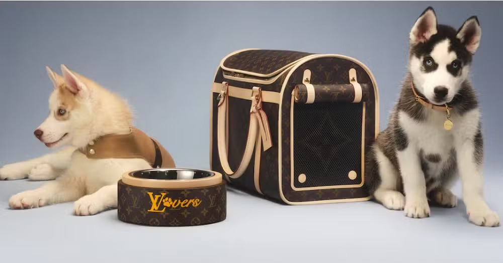 Louis Vuitton lança coleção para pets com casinha de cachorro a R$ 340 mil