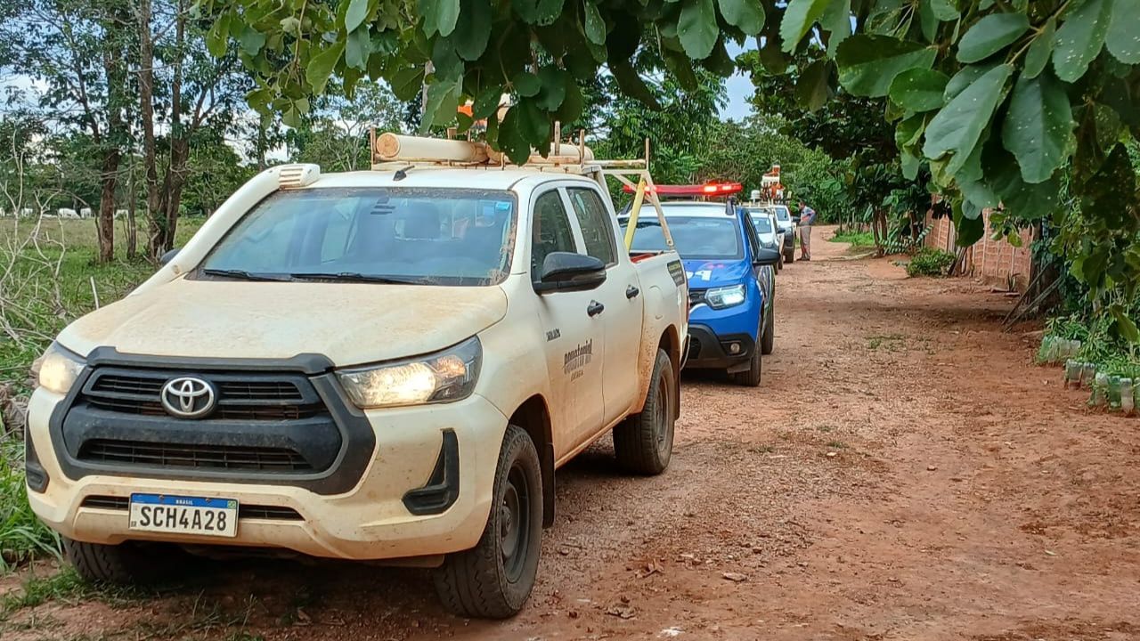 Após manifestação sobre falta de energia, Equatorial descobre mais de 40 gatos em Pirenópolis