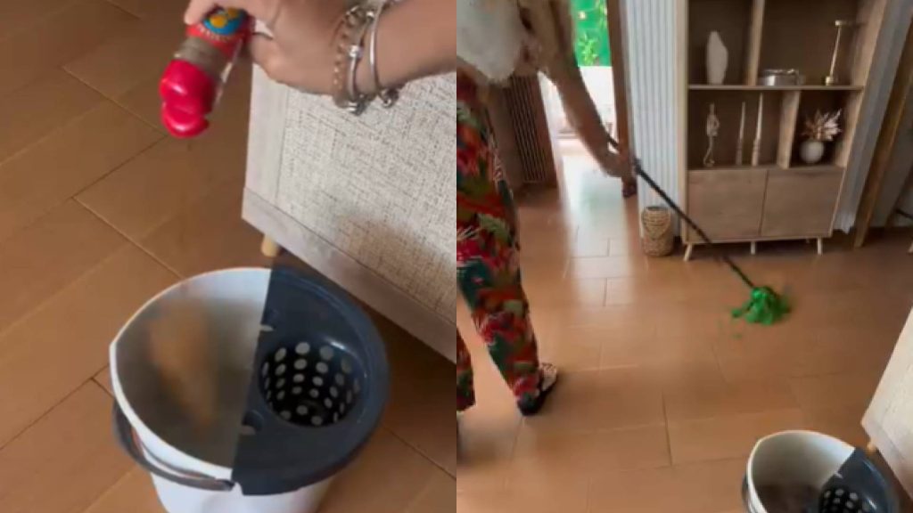 Método rápido e eficaz para afastar os insetos indesejados da sua casa