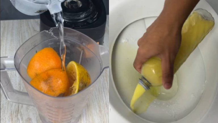 Veja como limpar o sanitário utilizando a casca de laranja