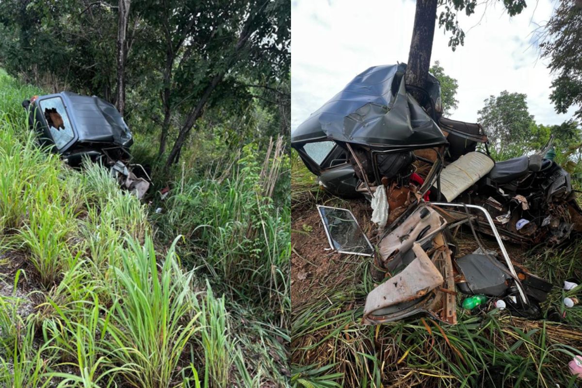 Criança de 9 anos morre após carro desviar de capivara e bater em árvore na GO-118