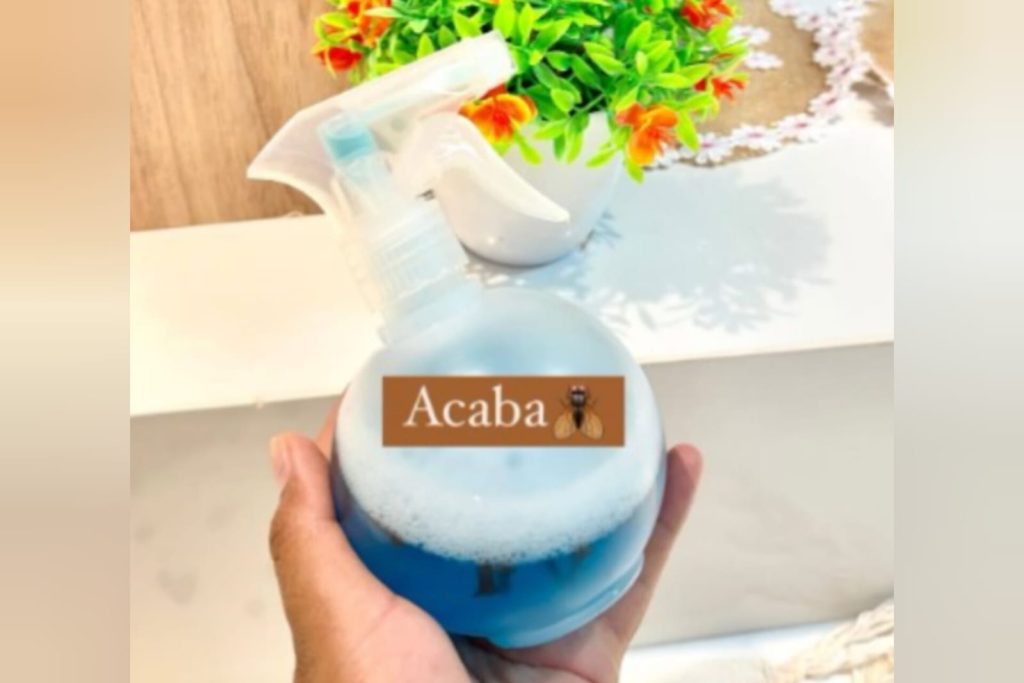 Truque para acabar de vez com as moscas de casa sem precisar de produtos fortes