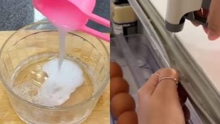 A geladeira da sua cozinha está suja? Então conheça esse truque de limpeza