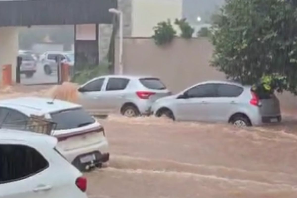 Imagens impressionantes mostram alagamento, rastro de destruição e motoristas se arriscando durante temporal em Goiânia