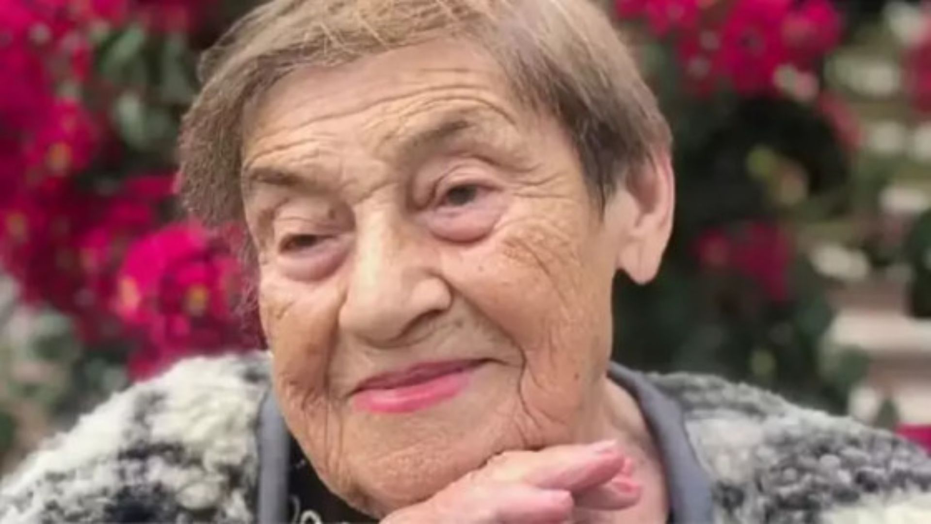 Mulher que sobreviveu a nazistas, Chernobyl e covid-19 morre atropelada