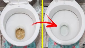 Adeus, vasos sanitário com calcário: preencha as bordas com papel toalha e acabe de uma vez com o problema