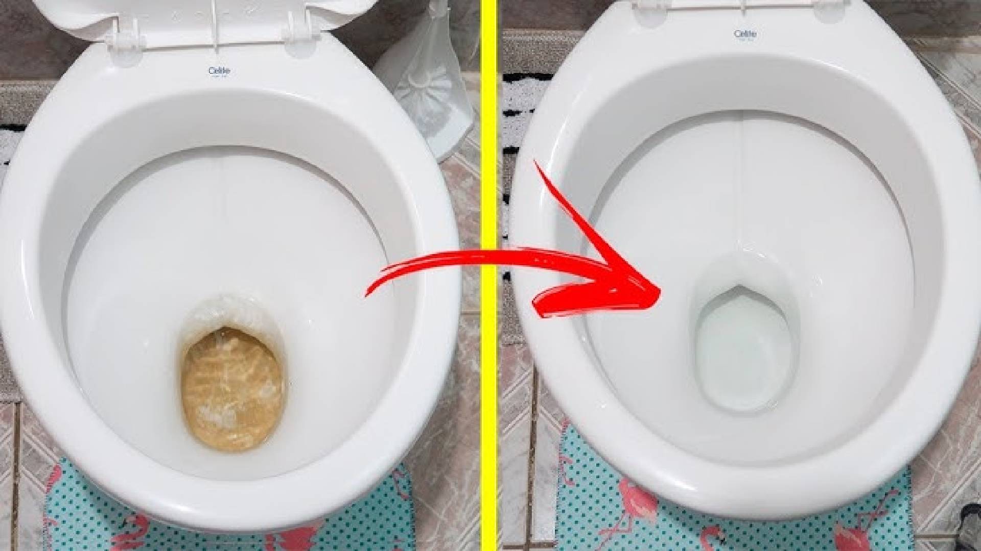 Truque secreto dos agentes imobiliários para remover as manchas do vaso sanitário