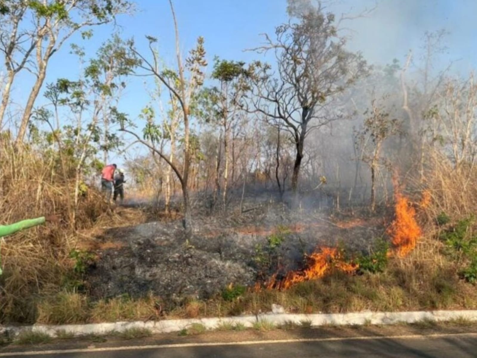 Jovem que provocou grande incêndio florestal vai pagar indenização e prestar serviços comunitários, em Goiás