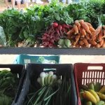 6 mudanças simples na alimentação que não pesam no bolso e transformam seu corpo