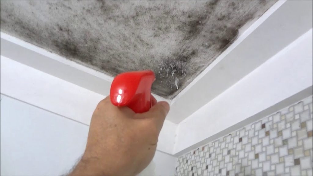 Solução eficaz para eliminar o mofo e as manchas de gordura do teto da cozinha