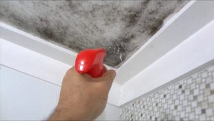 Solução eficaz para eliminar o mofo e as manchas de gordura do teto da cozinha