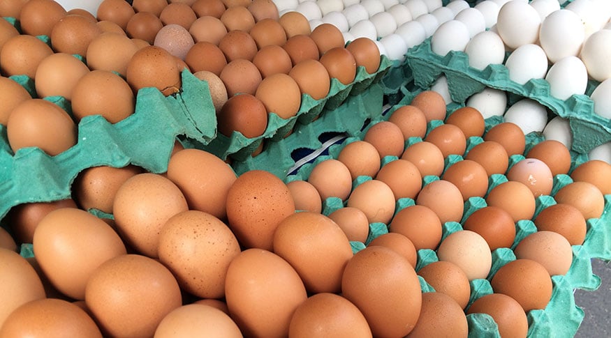 6 alimentos ricos em proteína para quem não aguenta mais comer ovo