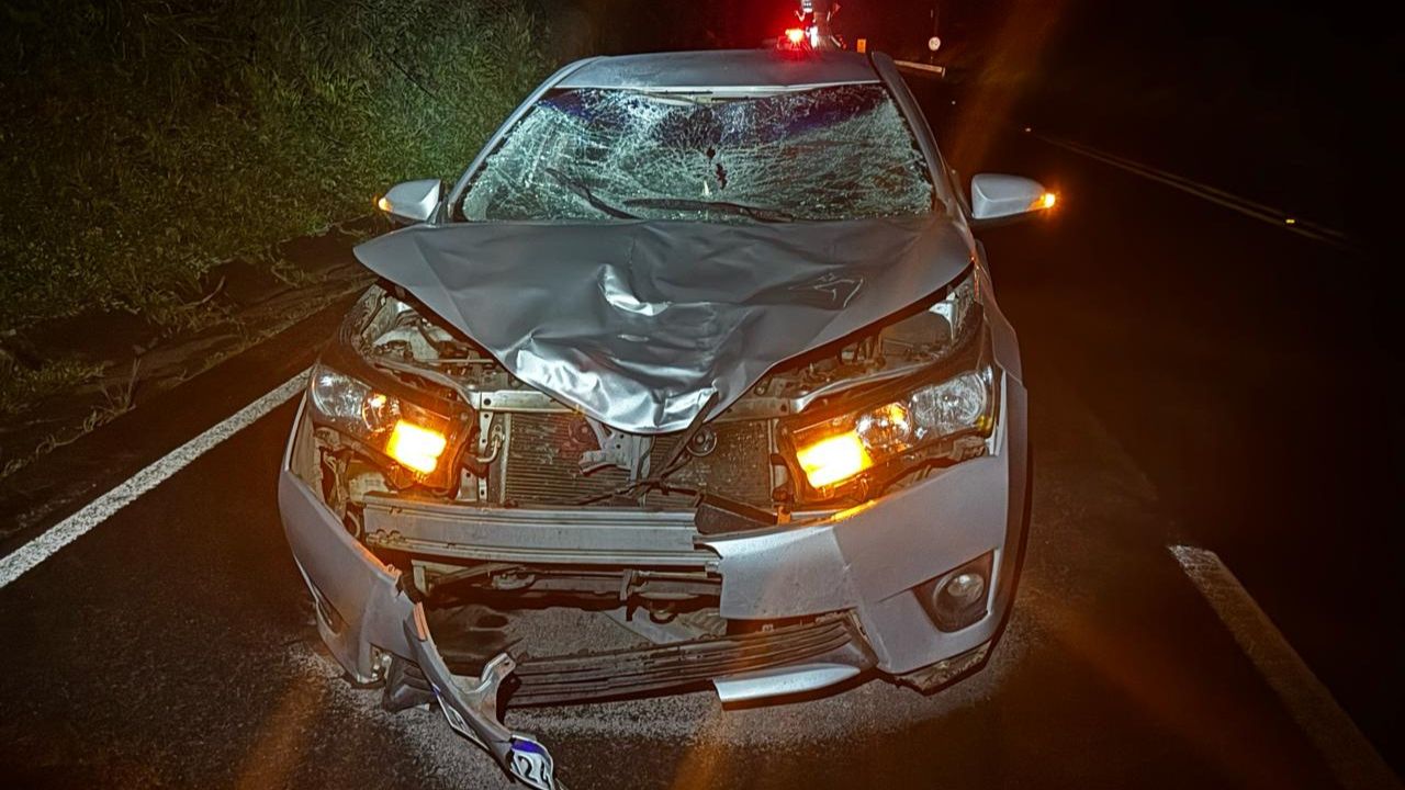 Homem não identificado morre após ser atropelado na BR-153