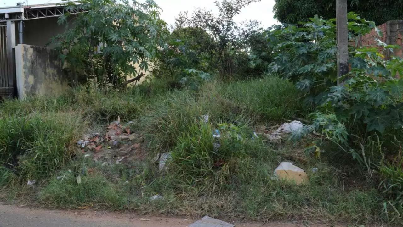 Preço cobrado pela Prefeitura de Anápolis para limpar lotes é quase metade do valor pedido por jardineiros