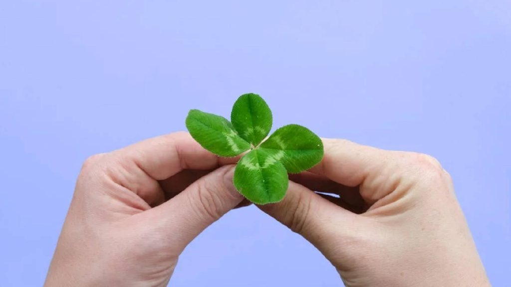 A sorte vai bater na porta desses 3 signos dentro dos próximos dias