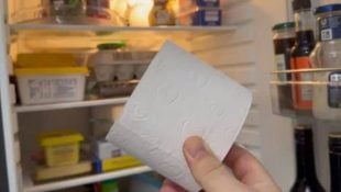 Entenda por que tem muitas pessoas colocando rolo de papel higiênico na geladeira