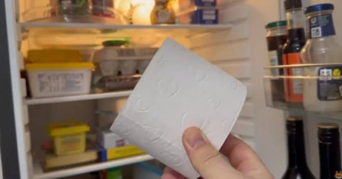 Entenda por que tem muitas pessoas colocando rolo de papel higiênico na geladeira