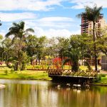 parque ipiranga (9)