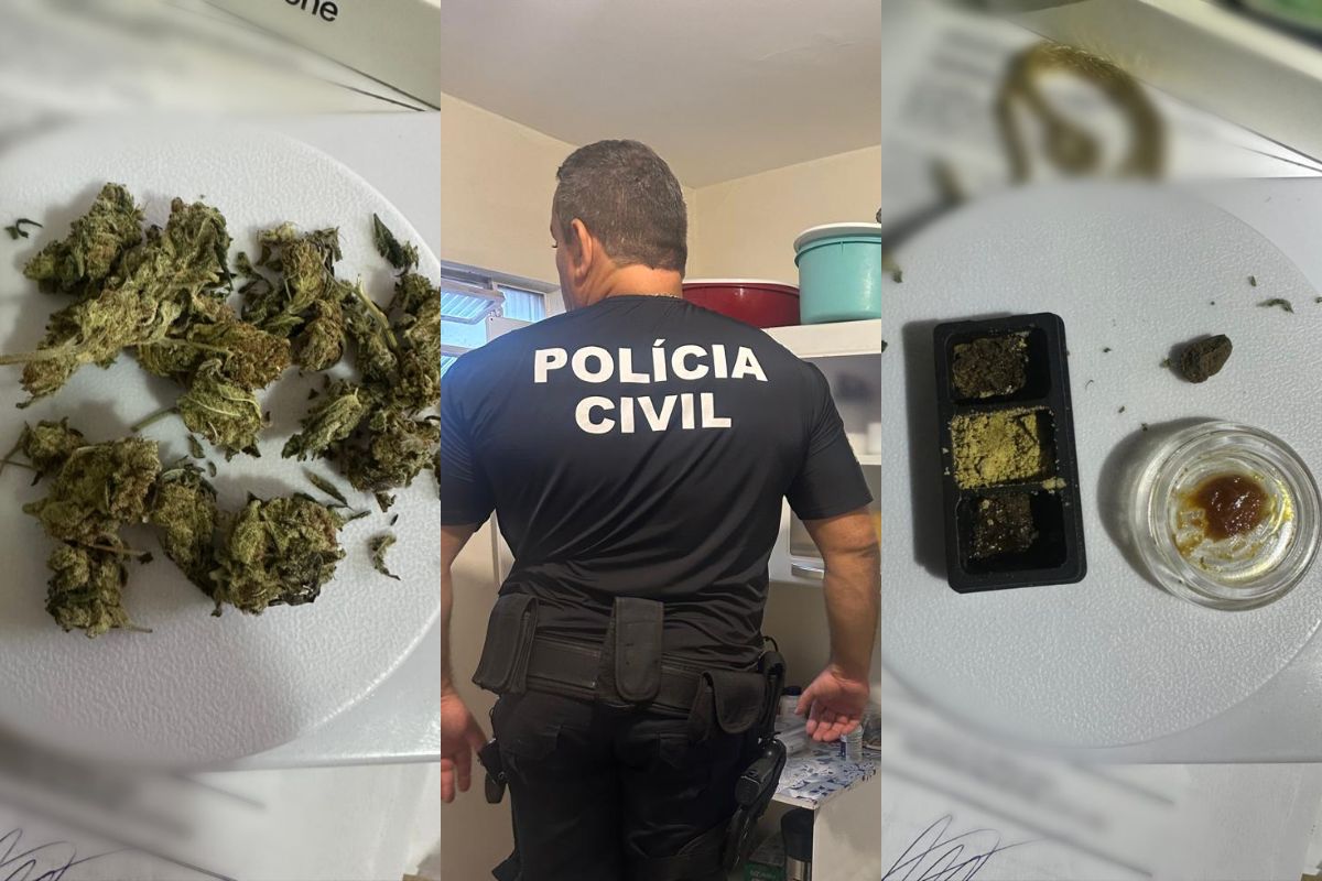 Maconha Gourmet: PC deflagra operação e bloqueia R$ 1,5 milhão de grupo em Goiânia