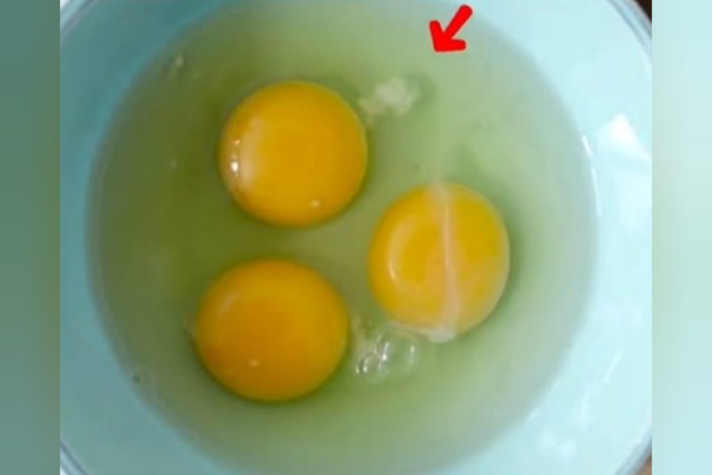 Com quantos anos você descobriu o que é o fio branco grudado na gema do ovo?