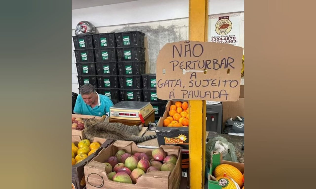 Placa em mercadinho chama atenção dos clientes: “sujeito a paulada”