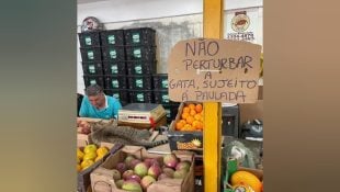 Placa em mercadinho chama atenção dos clientes: “sujeito a paulada”