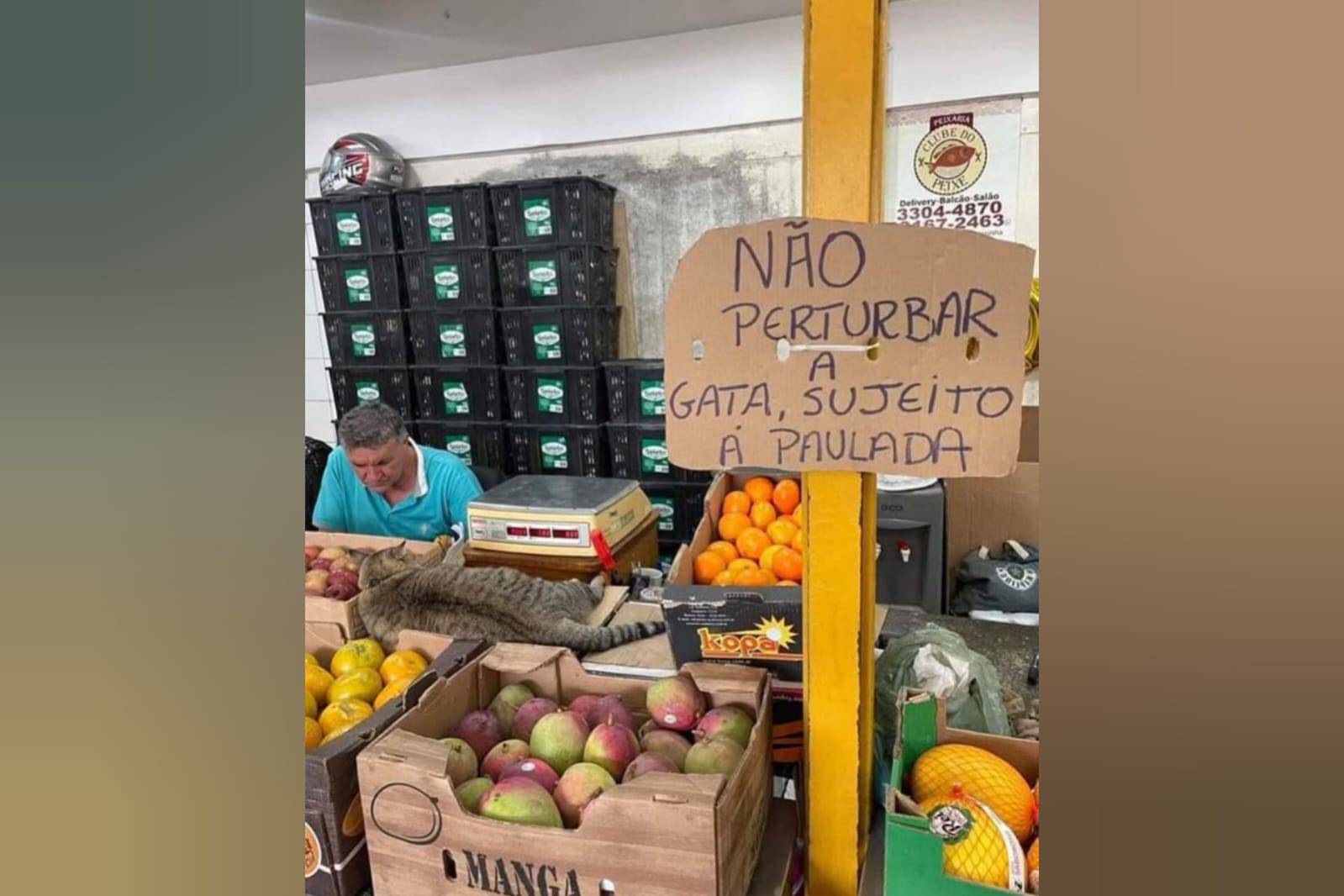 Placa em mercadinho chama atenção dos clientes: “sujeito a paulada”