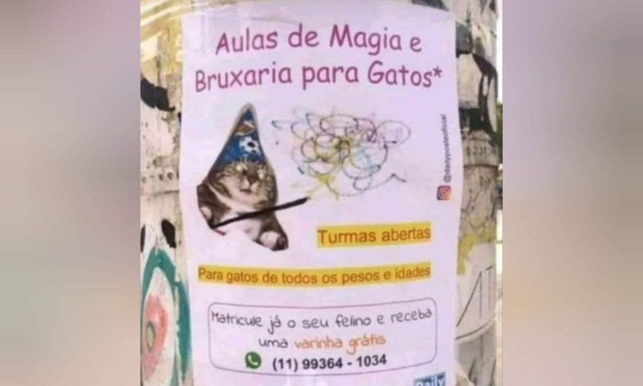 Placa colocada em poste chama atenção de quem passa pela rua: "favor, não insista"